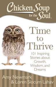 Time to Thrive chicken Soup for the Soul Book